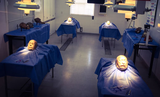 Curso internacional de anatomía aplicada en cadáveres enfocado en estética