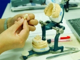Crean dientes a partir de clulas madre