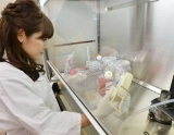 Admiten falsificacin de estudio japons sobre clulas madre