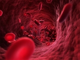 Una novedosa terapia antienvejecimiento podra ser efectiva contra la anemia aplsica