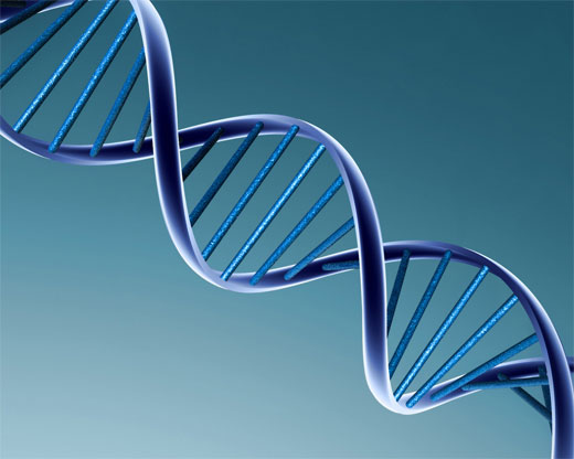 Descubren el “reloj biológico” del ADN: una ayuda para entender el proceso de envejecimiento 